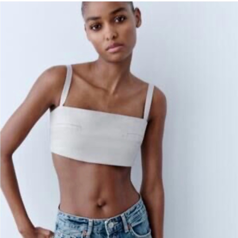 Zara Gray Sleeveless Crop Top NWT Size Large